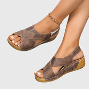 Earth Brown