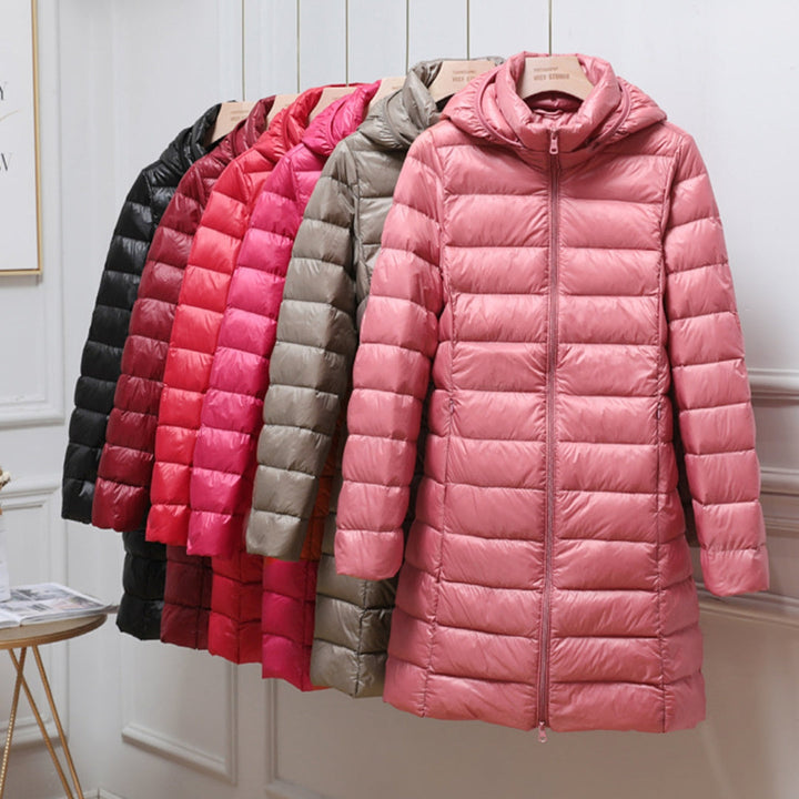Tarin | Stylish Elegant Jacket