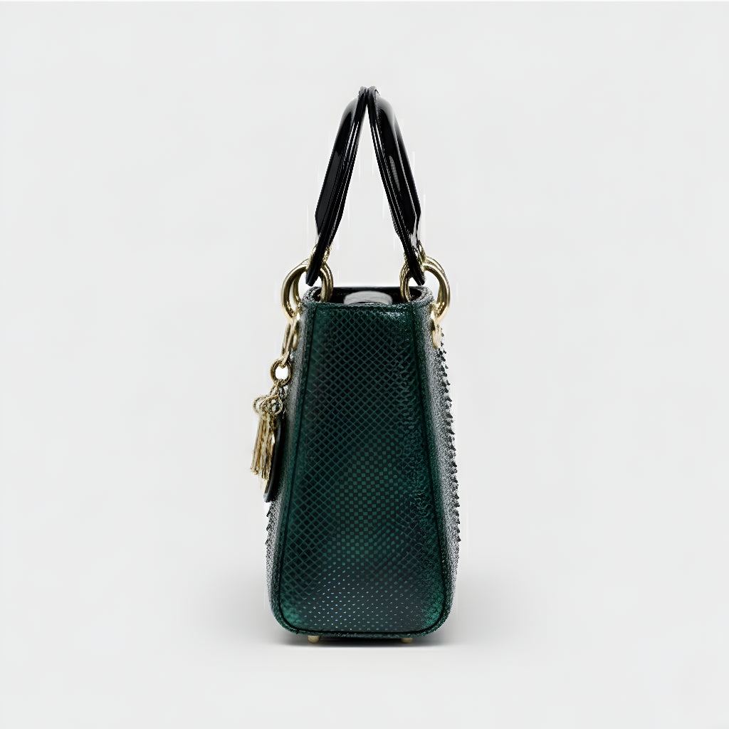 Izabela – Stylish and Adaptable Bag